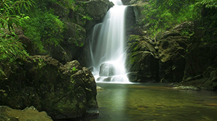 Meenmutty Waterfalls